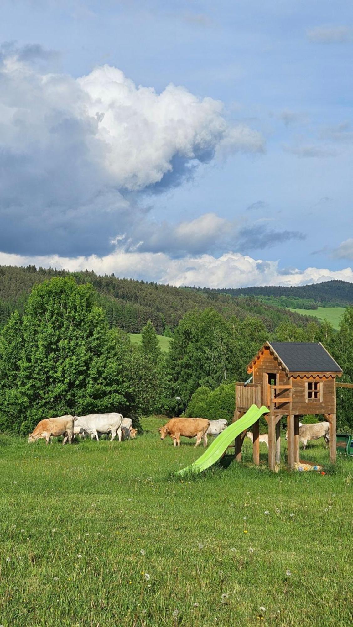 Pastelova Krova - Domki W Bieszczadach Ustrzyki Dolne Exterior photo